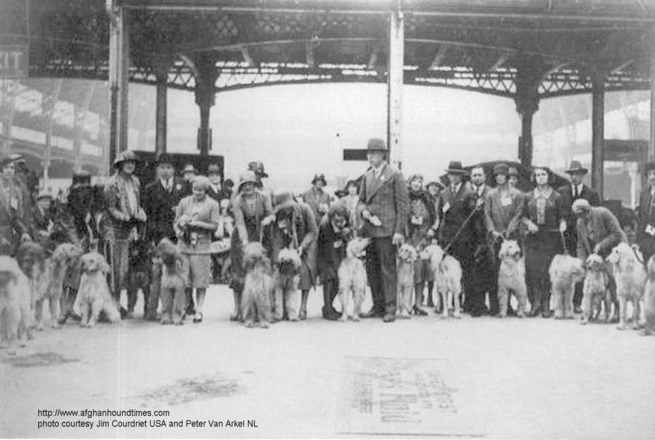 Afghan Hound Times - Han Jungling Judging in England LKA 1930