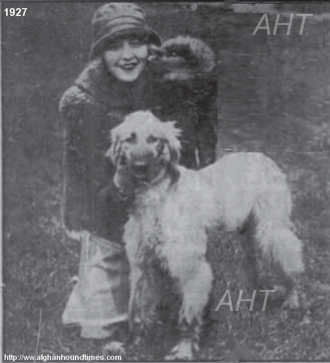 http://www.afghanhoundtimes.com PHOTO Marian FASTER FOSTER Florsheim Five Mile Knnels USA