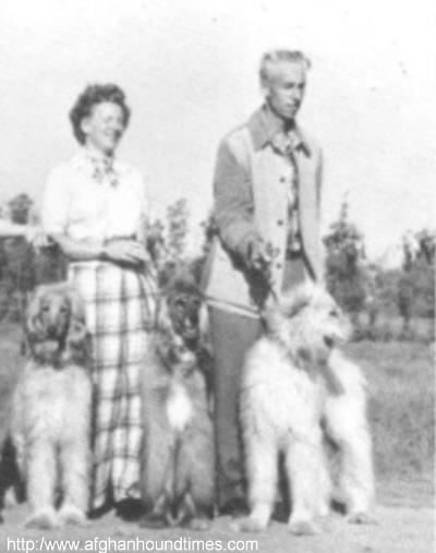 http://www.afghanhoundtimes.com PHOTO Joe Felt, Feltt's Afghans