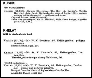 Kushki and Khelat Afghan Sheepdogs (NOT Afghan Hounds)