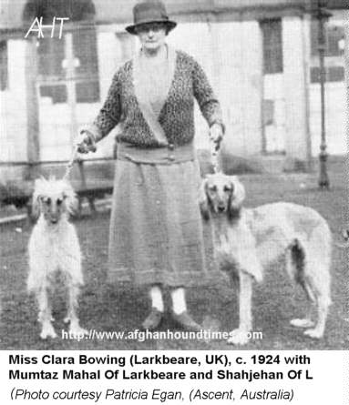 Afghan Hound Times Photo - Clara Bowring's Larkbeare (India/UK) 1924