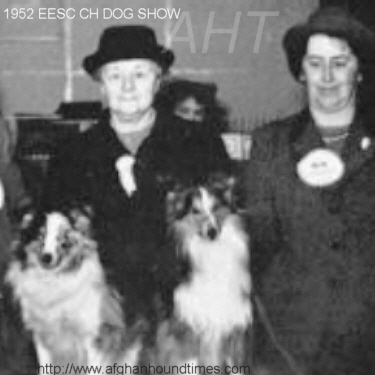 Afghan Hound Times Photo - Clara Bowring at EESC CH DOG SHOW 1952