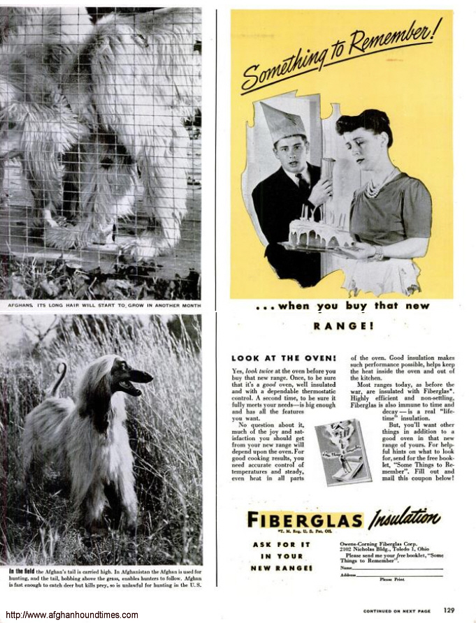 http://www.afghanhoundtimes.com Life1945 magazine Marion Florsheim, Rudiki and Five Mile Kennels USA