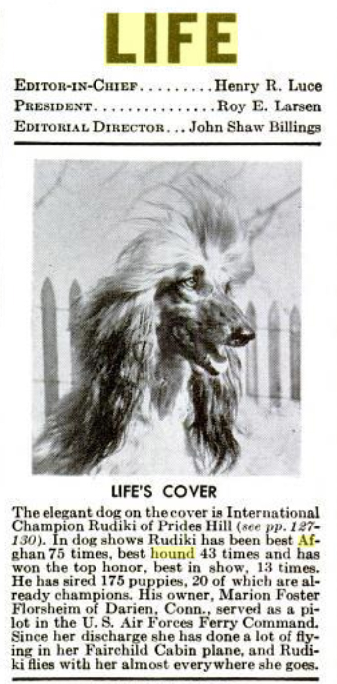 http://www.afghanhoundtimes.com Life1945 magazine Marion Florsheim, Rudiki and Five Mile Kennels USA