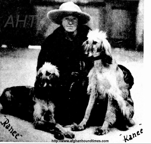 http://www.afghanhoundtimes.com Miss Jean Manson with Ranee and Kanee 1924