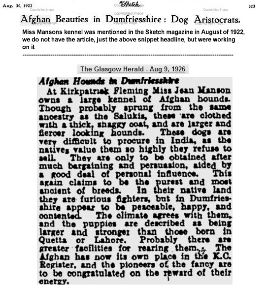 http://www. afghanhoundtimes.com Miss Jean Manson (Cove Afghans) in the news 1922/1926