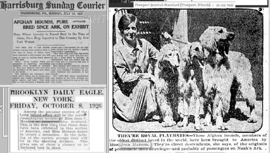 http://www.afghanhoundtimes.com Jean Manson(*Cove) USA visit 1926