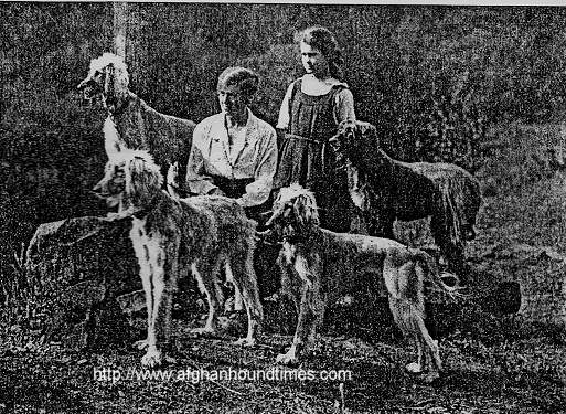 Afghan Hound Times photo Jean Manson and Afghan Hounds