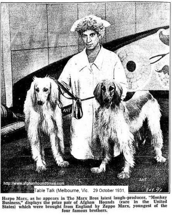 http://www.afghanhoundtimes.com PHOTO Westmill Omar, England July 1930