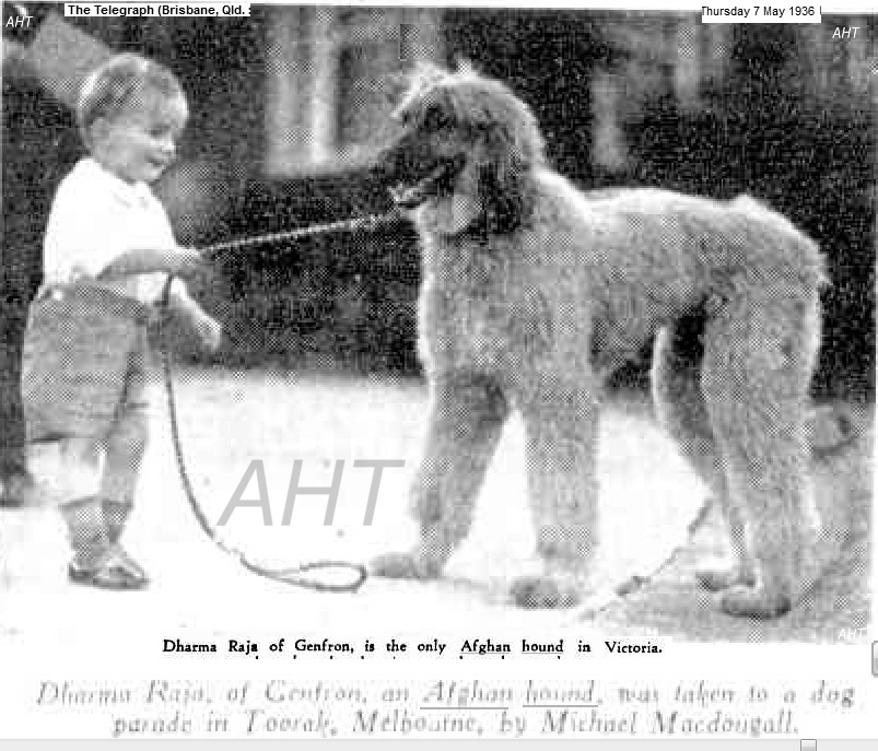 http://www.afghanhoundtimes.com PHOTO Michael Mcdougal and Dhama Raja Of Geufron