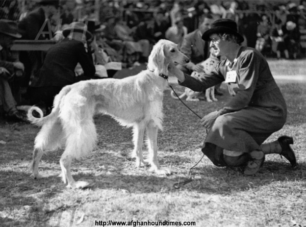 http://www.afghanhoundtimes.com PHOTO Statrunya of Kandahar