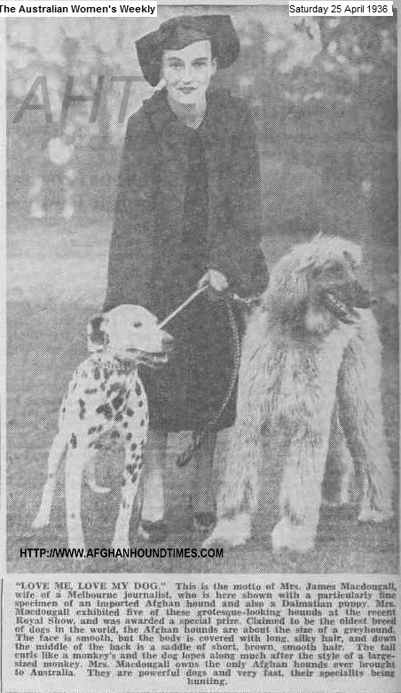 http://www.afghanhoundtimes.com PHOTO Mrs MacDougal with Dalmatian and Afghan hound 1935