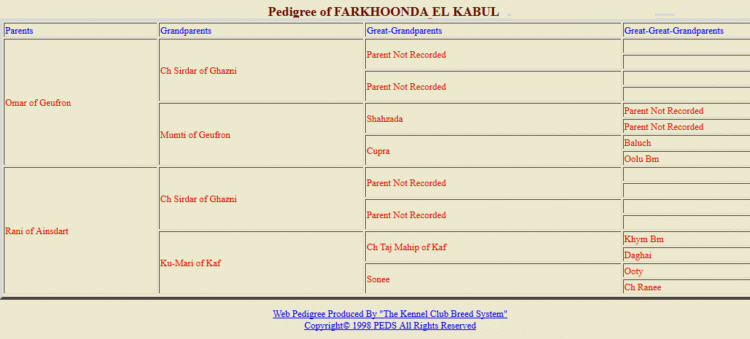 http://www.afghanhoundtimes.com PEDIGREE (Farkhoonda El Kabul )