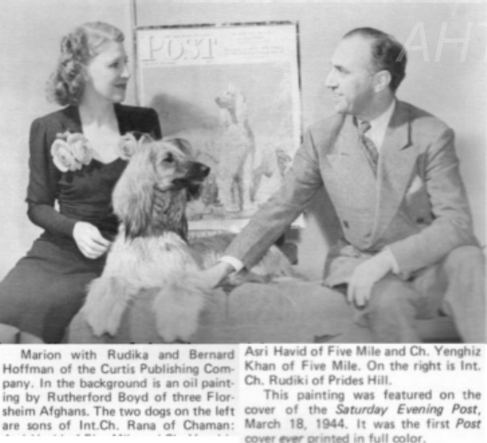 http://www.afghanhoundtimes.com Marion and Rudika a Curtis Publishing