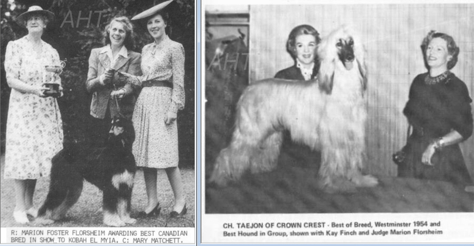 http://www.afghanhoundtimes.com Marion Florsheim