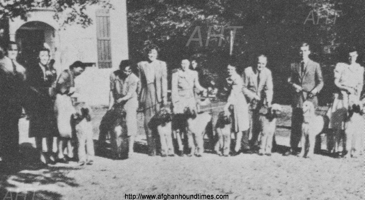 http://www.afghanhoundtimes.com PHOTO First AHCA Sanctioned Match 1941