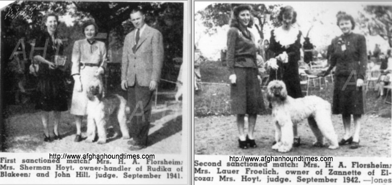 http://afghanhoundtimes.com PHOTOS 1941 1942 AHCA Sanction Matches held on Florrsheim Estate