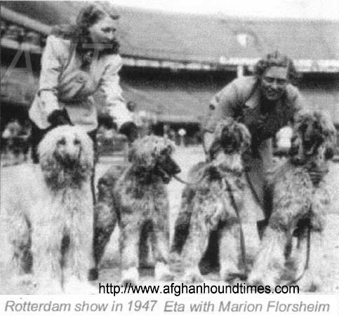 http://www.afghanhoundtimes.com PHOTO Marion Florsheim and Eta Pauptit Rotterdam 1947