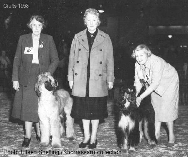 http://www.afghanhoundtimes,com Photo Judge Molly Sharpe, Crufts 1958 with Betsy Porter (el Kabul), Eileen Snelling (Khorrassan)