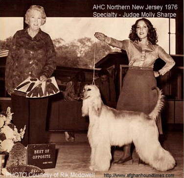 http://www.afghanhoundtimes.com Photo Judge Molly Sharpe, AHC Northern New Jersey, USA, 1976