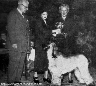 http://www.afghanhoundtimes.com Photo Taj Asam of Chaman 1954