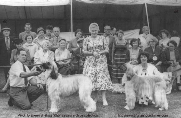 http://www.afghanhoundtimes.com Photo Hank/Molly Sharpes Handler and Mrs Franks (Stonesby Afghan Hounds) c 1952