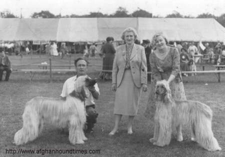 http://www.afghanhoundtimes.com Photo Hank c 1952 handling Taj Akmed Of Chaman?