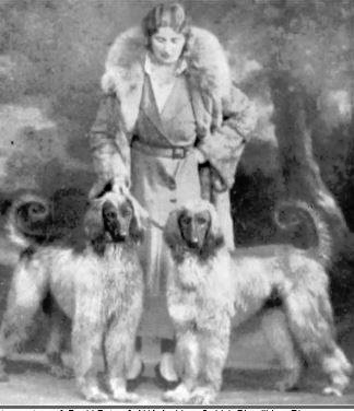 http://www.afghanhoundtimes.com PHOTO Nora Coombes with Dhunjibhoy Rizer )
