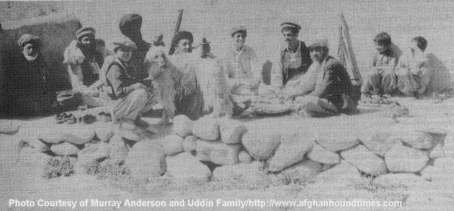 Afghan Hound Times photo - Courtesy of Murray Anderson and Uddin family members