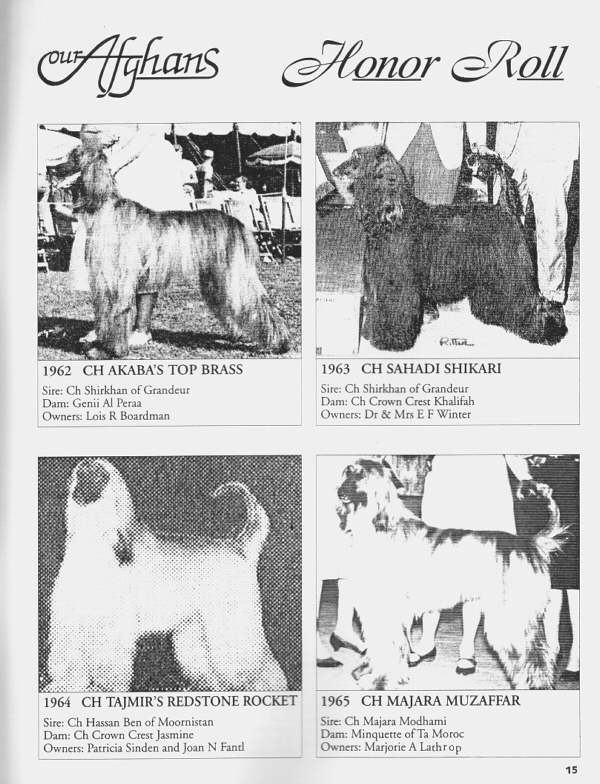 Our Afghans - AHCA Speciality Winners 1962 - 1965