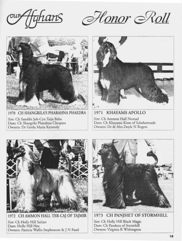 Our Afghans - AHCA Speciality Winners 1970 - 1973