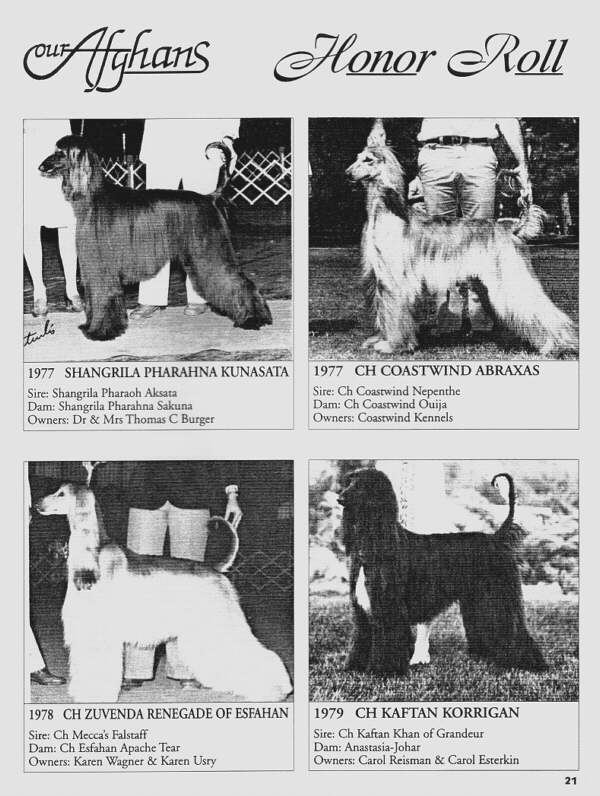 Our Afghans - AHCA Speciality Winners 1977 - 1979