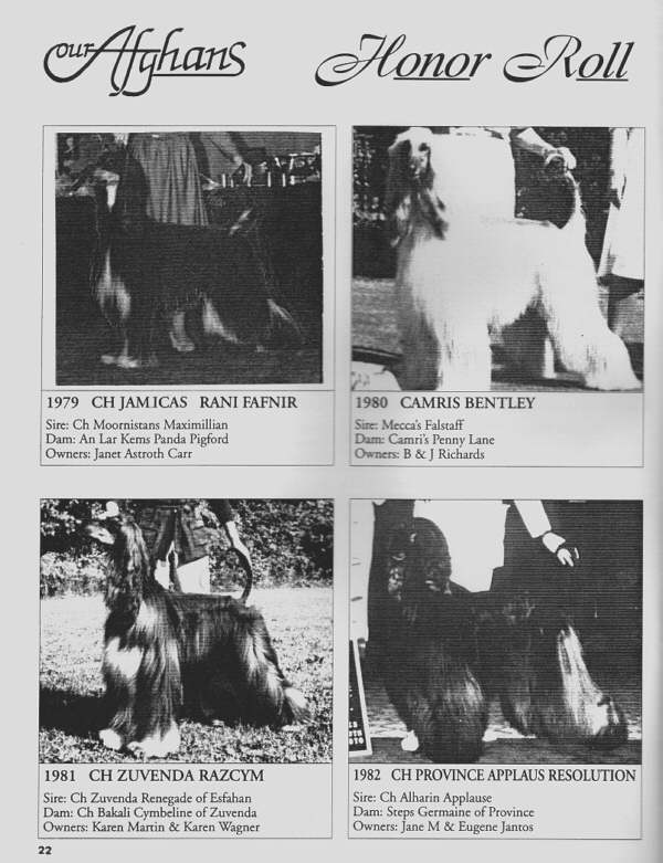 Our Afghans - AHCA Speciality Winners 1979 - 1982