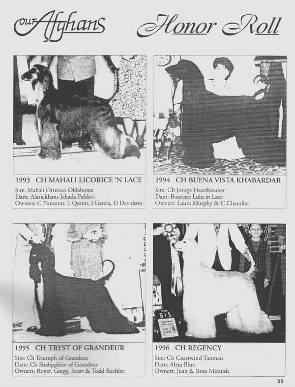 Our Afghans - AHCA Speciality Winners 1993 - 1996