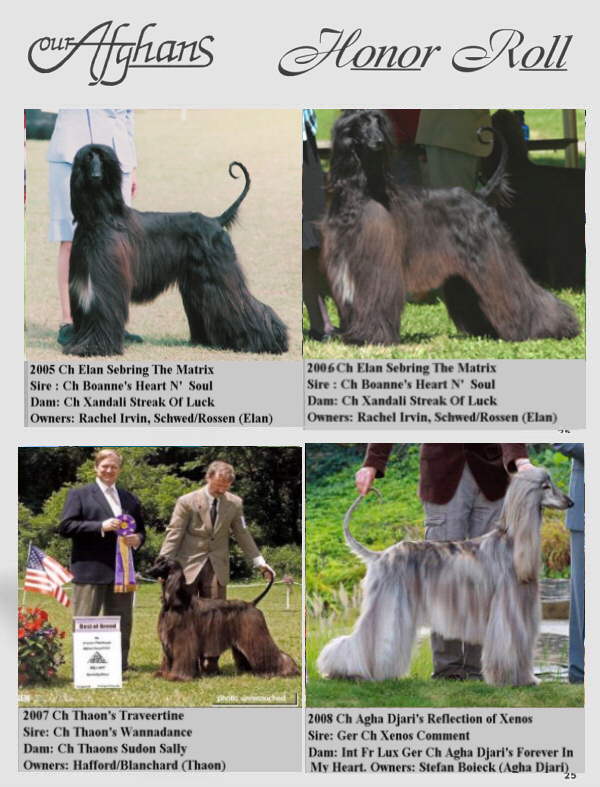 Our Afghans - AHCA Speciality Winners 1997 - 2011