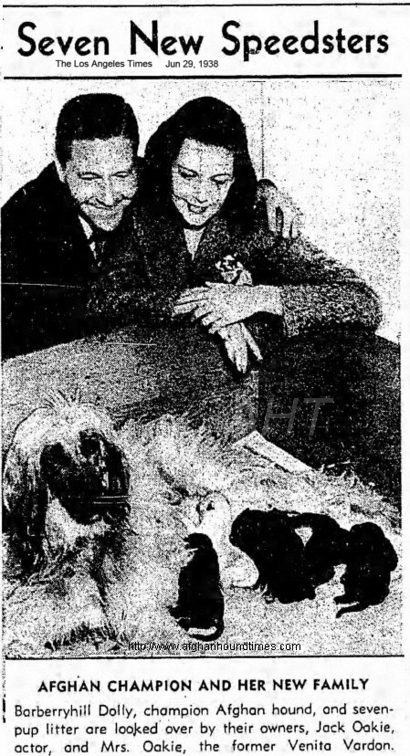 http://www.afghanhoundtimes.com PHOTO  litter of 7 pups  born  on 20th June 1938 (by Hanuman Of Enriallic x Barberryhill Dolly).