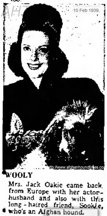 http://www.afghanhoundtimes.com PHOTO Venita Vardon Oakie with Natanz or Razuran of Westmill 1939