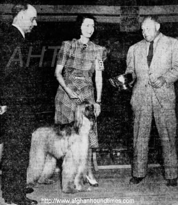 http://www.afghanhoundtimes.com PHOTO Venita Vardon Oakie handling Barberryhill Dolly 1941