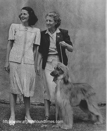 Afghan Hound Times -Barberryhill Dolly, Venita Oakie, PhyllisA Rainer