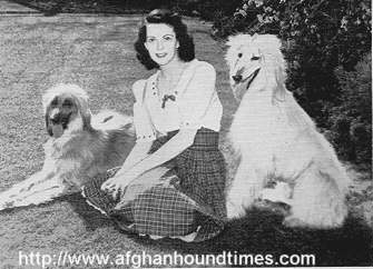 Afghan Hound Times - photo Iskandar Of Kandahar, Barberryhill Dolly, Venita Oakie (Oakvarden)