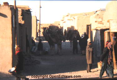the last afghan - openednews.com/afghanhoundtimes.com