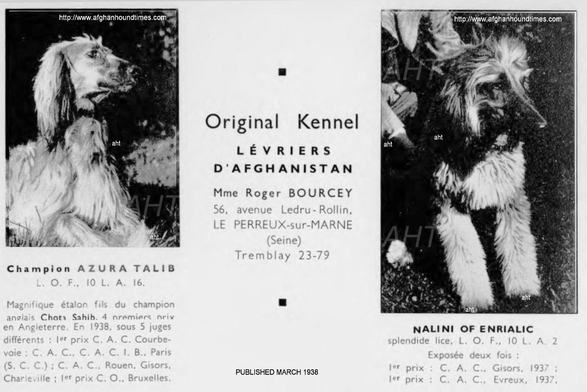 http://www.afghanhoundtimes.com France breed history Marguerite Bourcey (Original) 1985