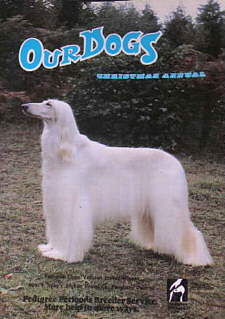 http://ww.afghanhoundtimes.com Ephemera - Afghan hound on cover Our Dogs Annual 1979