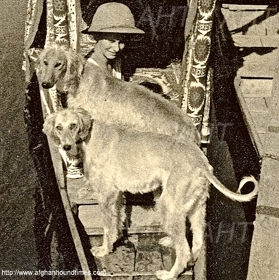 http://www.afghanhoundtimes.com PHOTO Claire Peters with Tazi and Saki, Afghanistan 1934 on a river trip