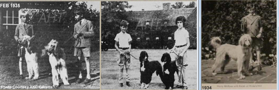 http://www.afghanhoundtimes.comHarry and Shaw handling Axsu and Armour of Prides Hill 1935 
