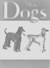 Afghan Hound Times,Some Early Afghans By Q A Shaw Mckean.