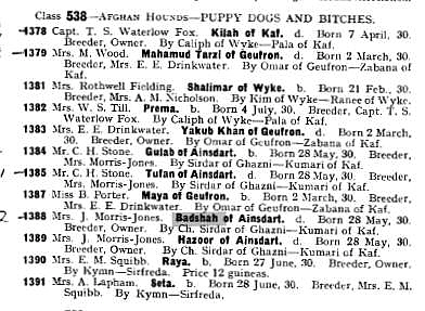 Afghan Hound Times, Ch Badshah of Ainsdart and Tufan of Ainsdart Crufts 1932