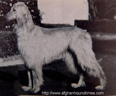 Afghan Hound Times, Photograph of Mckean family - Shaw, Margarett and Jenny  at Christ Church Fair,  Boston 1936.