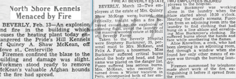 Afghan Hound Times,Fires at Prides Hill Kennels 1941.