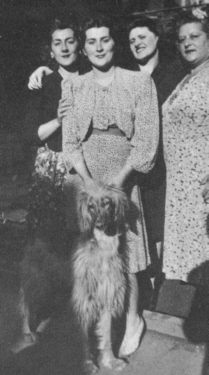 Afghan Hound Times, Photograph of Far Away Loo with Sunny Shay